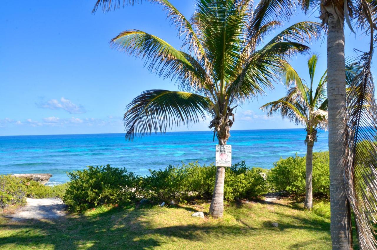 Ar Ocean View Apartments Isla Mujeres Eksteriør bilde